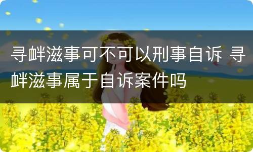 寻衅滋事可不可以刑事自诉 寻衅滋事属于自诉案件吗