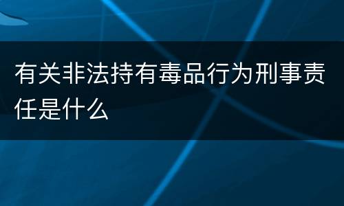 有关非法持有毒品行为刑事责任是什么