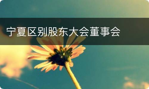 宁夏区别股东大会董事会