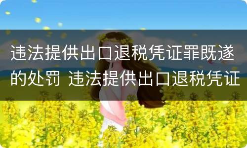 违法提供出口退税凭证罪既遂的处罚 违法提供出口退税凭证罪既遂的处罚标准
