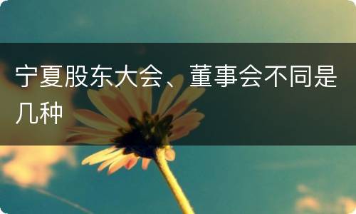 宁夏股东大会、董事会不同是几种