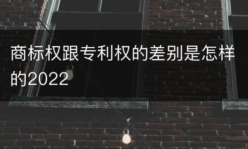 商标权跟专利权的差别是怎样的2022