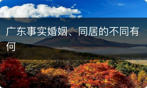 广东事实婚姻、同居的不同有何