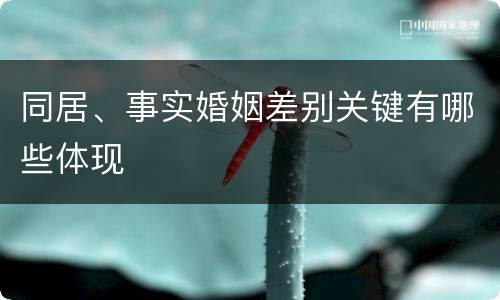 同居、事实婚姻差别关键有哪些体现