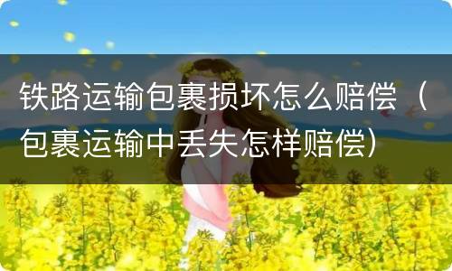 铁路运输包裹损坏怎么赔偿（包裹运输中丢失怎样赔偿）
