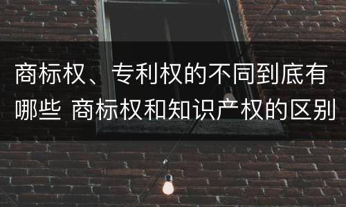 商标权、专利权的不同到底有哪些 商标权和知识产权的区别