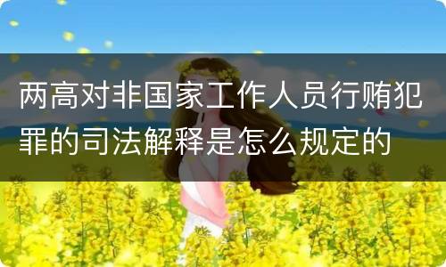 两高对非国家工作人员行贿犯罪的司法解释是怎么规定的