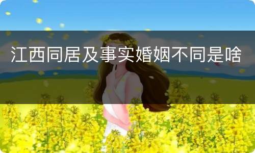 江西同居及事实婚姻不同是啥