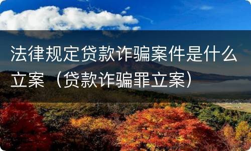 法律规定贷款诈骗案件是什么立案（贷款诈骗罪立案）
