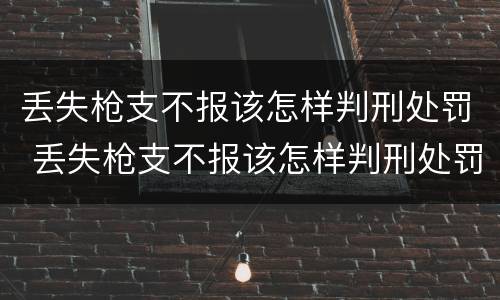 丢失枪支不报该怎样判刑处罚 丢失枪支不报该怎样判刑处罚呢