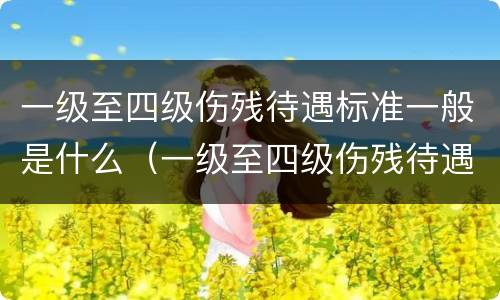 一级至四级伤残待遇标准一般是什么（一级至四级伤残待遇标准一般是什么级别）