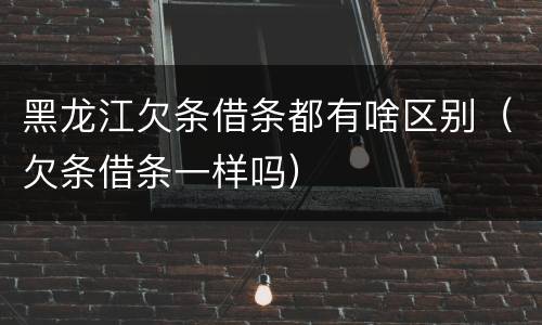 黑龙江欠条借条都有啥区别（欠条借条一样吗）