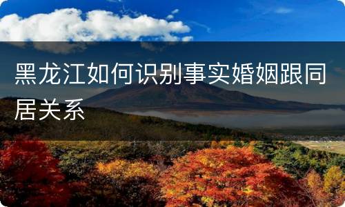 黑龙江如何识别事实婚姻跟同居关系