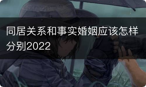 同居关系和事实婚姻应该怎样分别2022