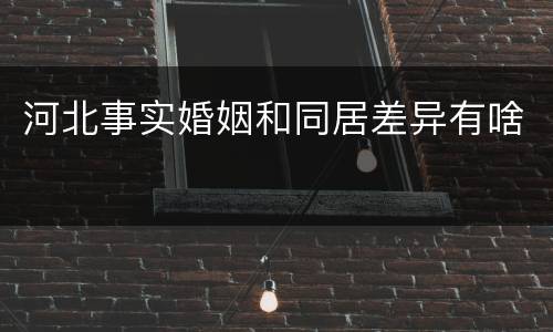 河北事实婚姻和同居差异有啥