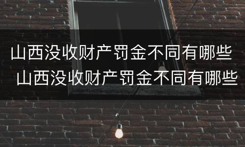 山西没收财产罚金不同有哪些 山西没收财产罚金不同有哪些处罚