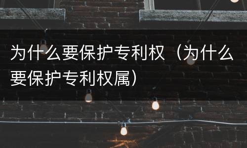 为什么要保护专利权（为什么要保护专利权属）