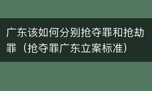 广东该如何分别抢夺罪和抢劫罪（抢夺罪广东立案标准）