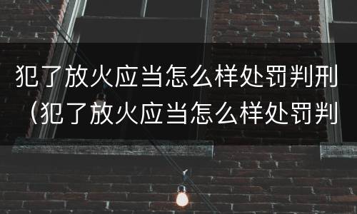 犯了放火应当怎么样处罚判刑（犯了放火应当怎么样处罚判刑多久）