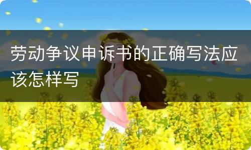 劳动争议申诉书的正确写法应该怎样写