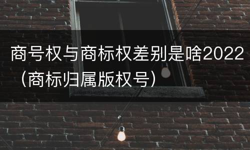 商号权与商标权差别是啥2022（商标归属版权号）