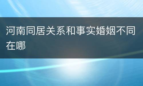 河南同居关系和事实婚姻不同在哪