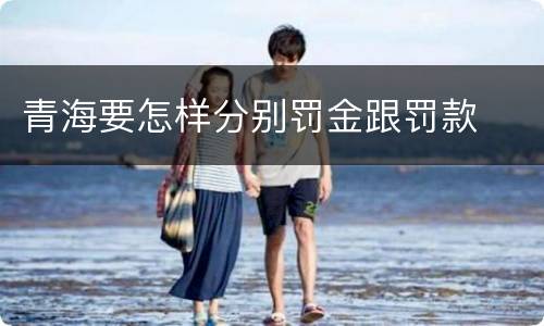 青海要怎样分别罚金跟罚款