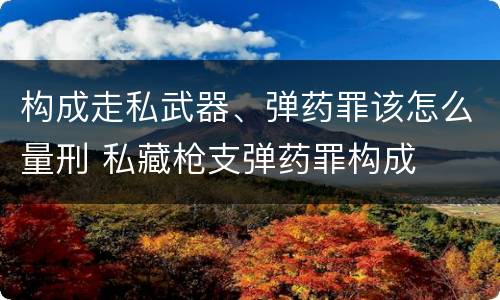 构成走私武器、弹药罪该怎么量刑 私藏枪支弹药罪构成
