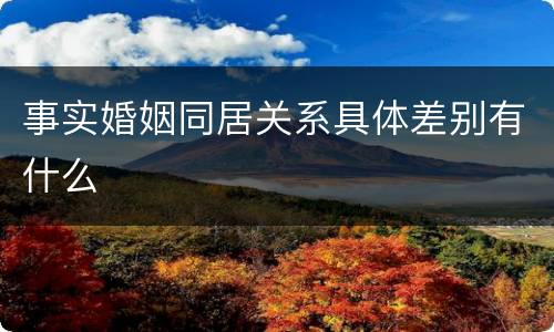 事实婚姻同居关系具体差别有什么