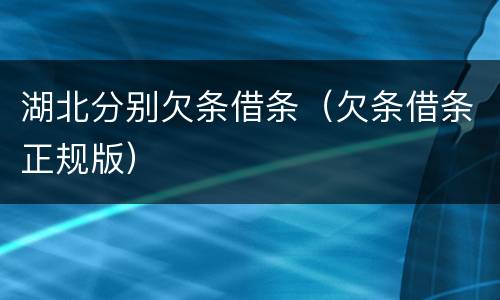 湖北分别欠条借条（欠条借条正规版）