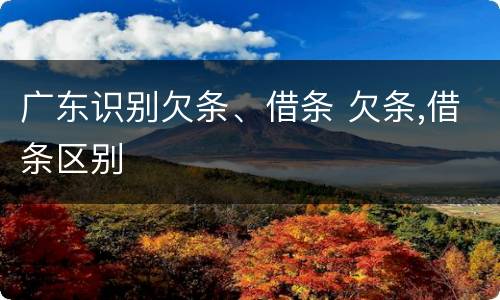 广东识别欠条、借条 欠条,借条区别