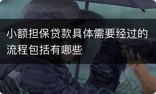 小额担保贷款具体需要经过的流程包括有哪些