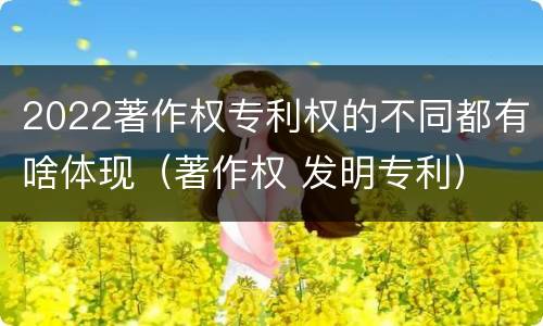 2022著作权专利权的不同都有啥体现（著作权 发明专利）