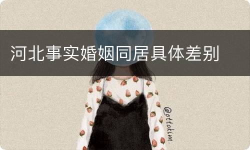河北事实婚姻同居具体差别