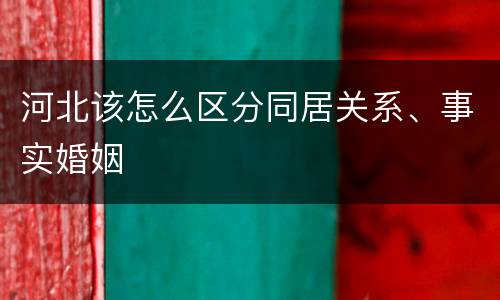 河北该怎么区分同居关系、事实婚姻