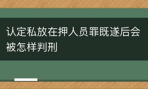 认定私放在押人员罪既遂后会被怎样判刑