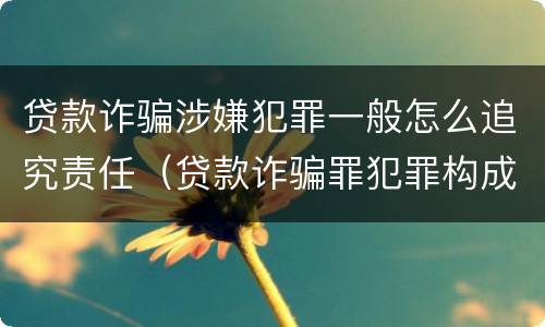 贷款诈骗涉嫌犯罪一般怎么追究责任（贷款诈骗罪犯罪构成）