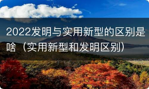 2022发明与实用新型的区别是啥（实用新型和发明区别）