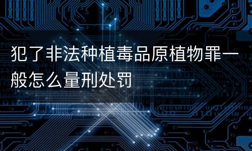 犯了非法种植毒品原植物罪一般怎么量刑处罚