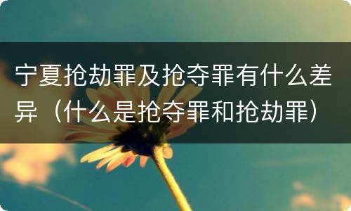宁夏抢劫罪及抢夺罪有什么差异（什么是抢夺罪和抢劫罪）