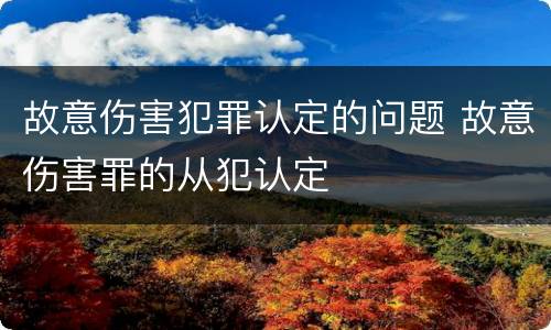 故意伤害犯罪认定的问题 故意伤害罪的从犯认定