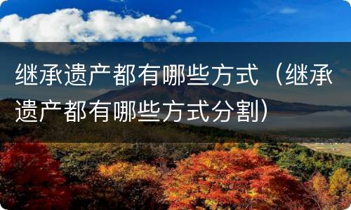 继承遗产都有哪些方式（继承遗产都有哪些方式分割）