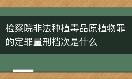 检察院非法种植毒品原植物罪的定罪量刑档次是什么
