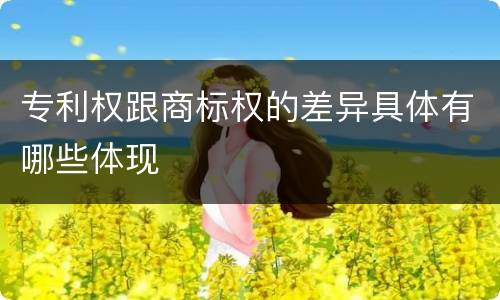 专利权跟商标权的差异具体有哪些体现