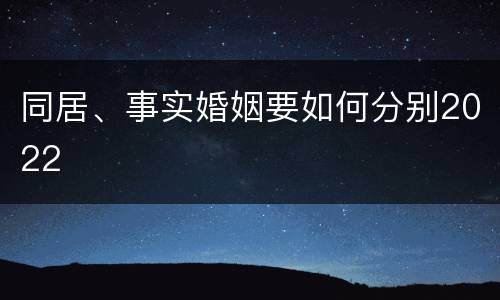 同居、事实婚姻要如何分别2022