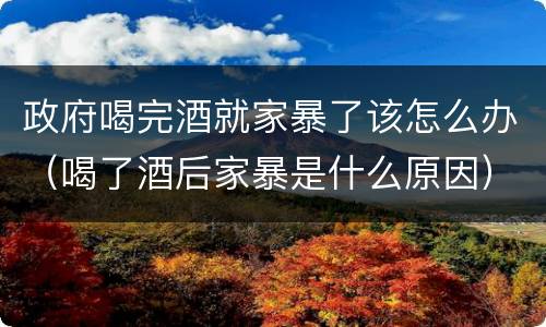 政府喝完酒就家暴了该怎么办（喝了酒后家暴是什么原因）