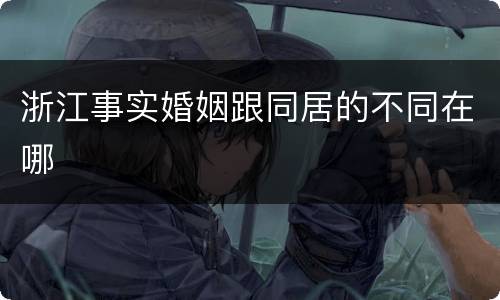 浙江事实婚姻跟同居的不同在哪