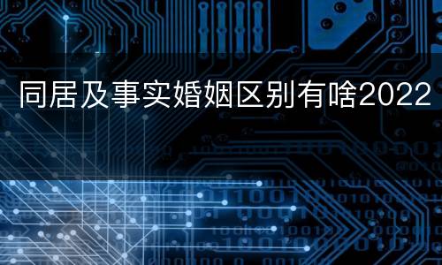 同居及事实婚姻区别有啥2022