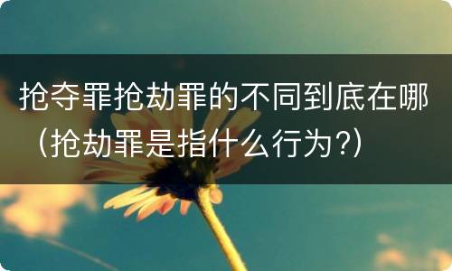 抢夺罪抢劫罪的不同到底在哪（抢劫罪是指什么行为?）