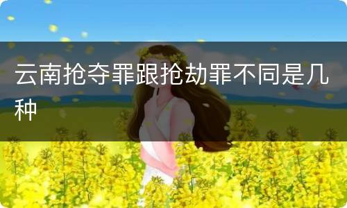 云南抢夺罪跟抢劫罪不同是几种